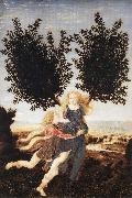 Antonio Pollaiuolo Apollo and Daphne oil painting reproduction